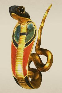 Il Cobra Reale ha la reputazione di essere uno degli animali più pericolosi
