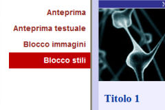 Blocco stili